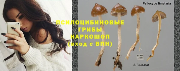дурь Армянск