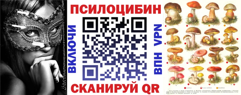 Псилоцибиновые грибы Cubensis Лабинск